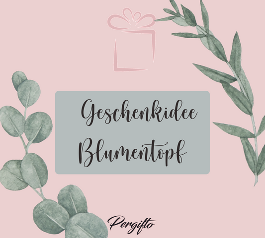 Geschenkidee Blumentopf