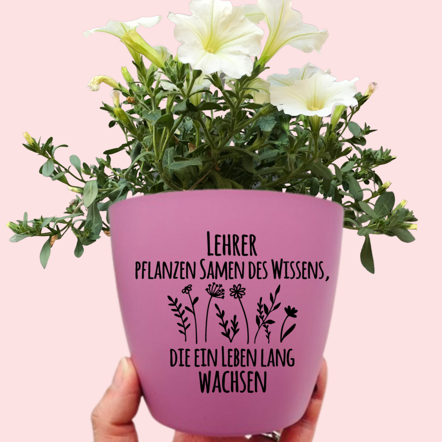 Blumentopf "Lehrer pflanzen Samen des Wissens, die ein Leben lang wachsen" Abschiedsgeschenk - Geschenk Lehrer Erzieher - Danke - 12cm lila