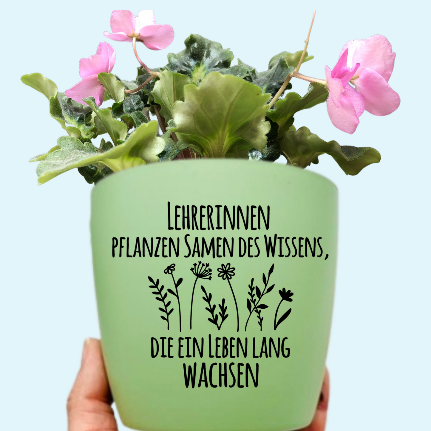 Blumentopf "Lehrerinnen pflanzen Samen des Wissens, die ein Leben lang wachsen" Abschiedsgeschenk - Geschenk Lehrer Erzieher - Danke - 12cm grün