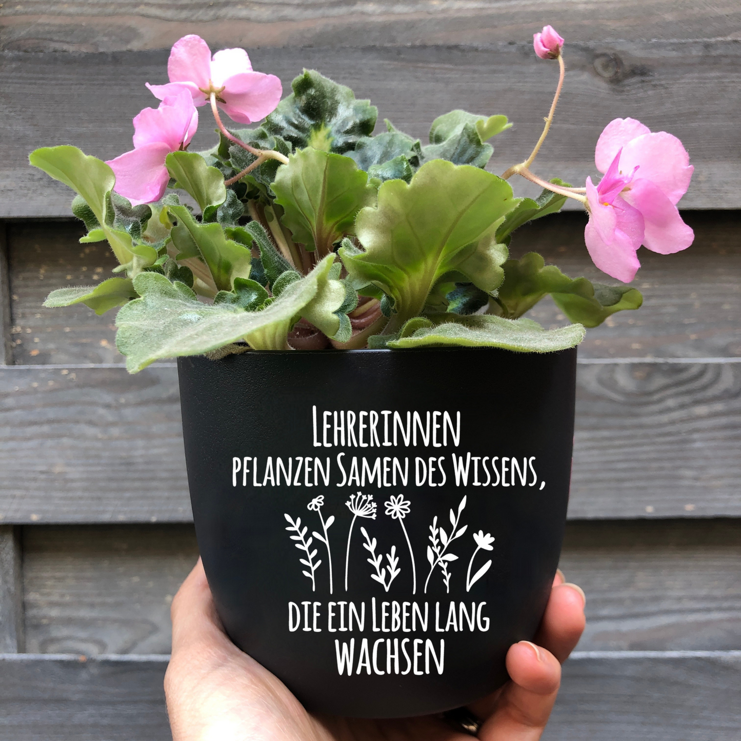 Blumentopf "Lehrer*innen pflanzen Samen des Wissens, die ein Leben lang wachsen" Abschiedsgeschenk - Geschenk Lehrer Erzieher - Danke - 12cm schwarz