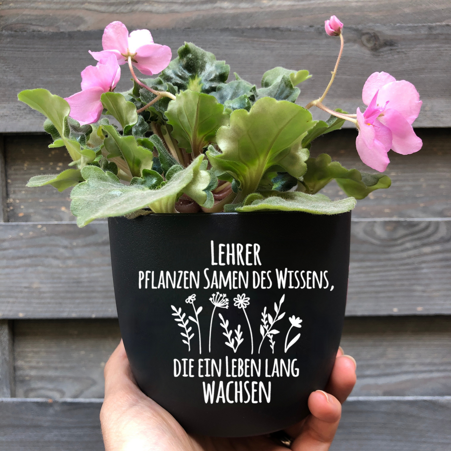 Blumentopf "Lehrer pflanzen Samen des Wissens, die ein Leben lang wachsen" Abschiedsgeschenk - Geschenk Lehrer Erzieher - Danke - 12cm schwarz