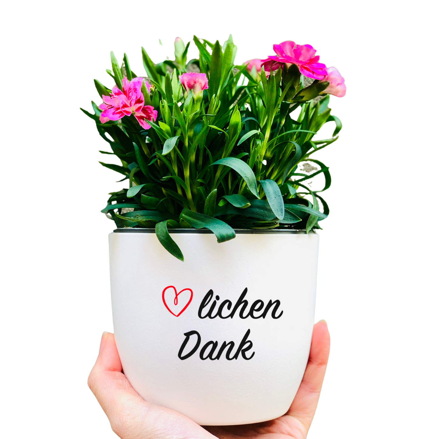 Blumentopf Danke - Geschenk zum Danke sagen - Geschenk zum Bedanken - Dankeschön Geschenk -personalisiert - einfach Danke sagen
