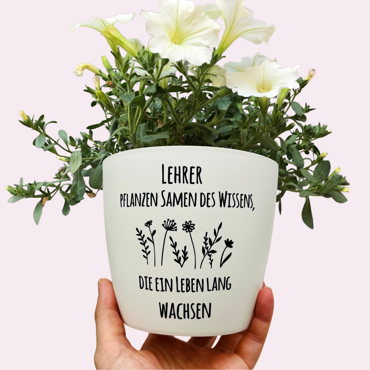 Blumentopf "Lehrer pflanzen Samen des Wissens, die ein Leben lang wachsen" Abschiedsgeschenk - Geschenk Lehrer Erzieher - Danke - 12cmn weiß