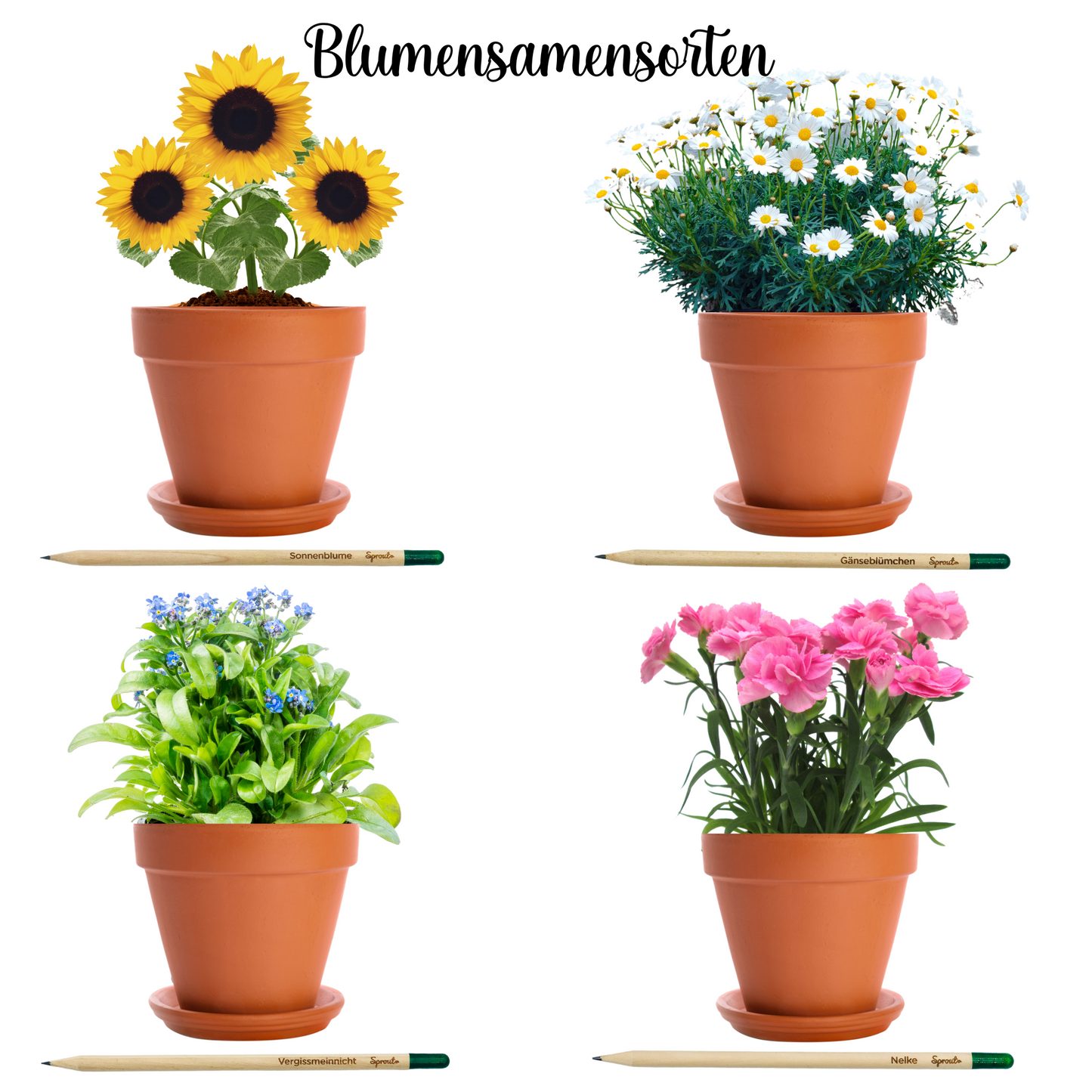 Geschenk zur Einschulung für Schultüte - Bleistift zum Einpflanzen Set - Schulkind 2025 - personalisiert - Schulanfang - Blumensamensorten