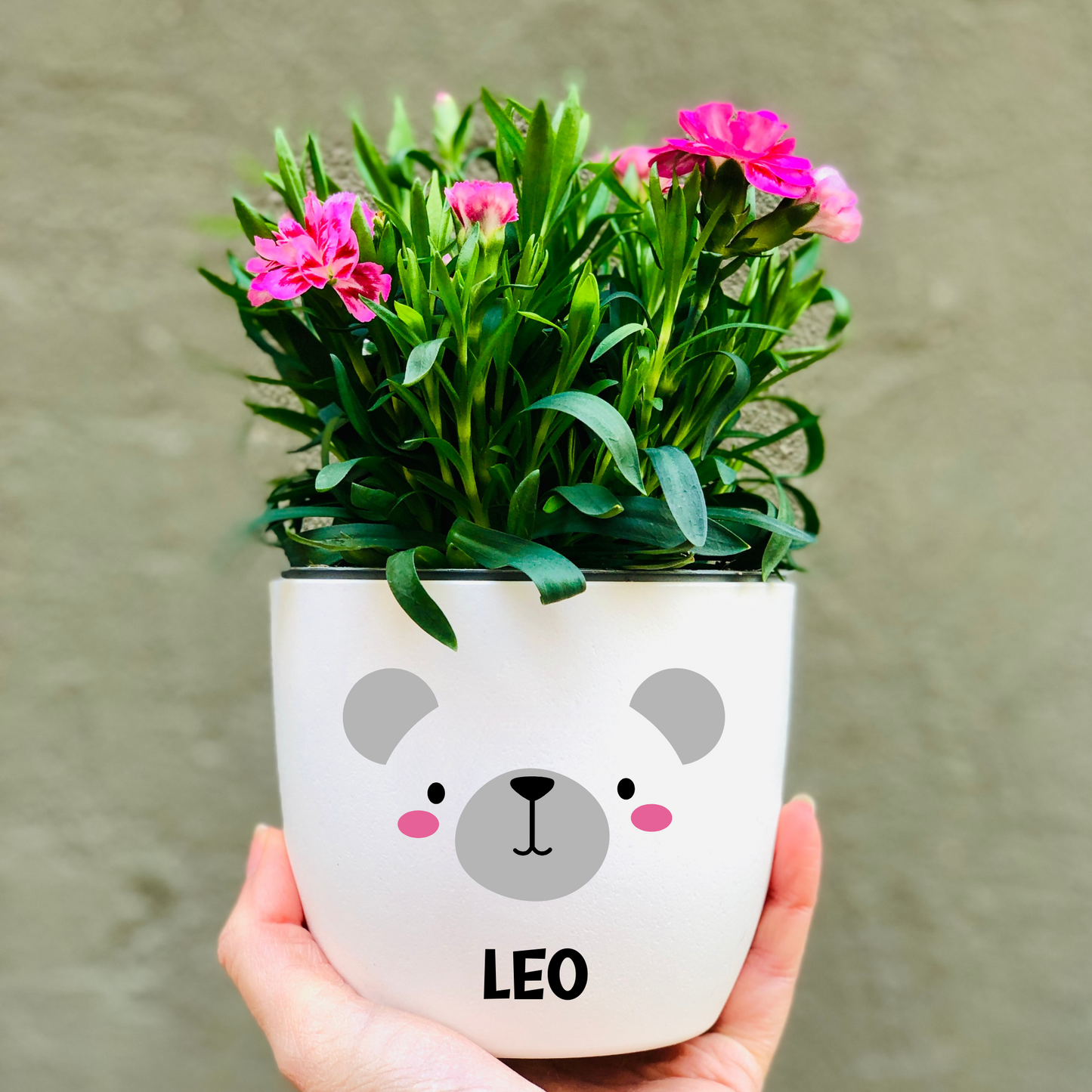Blumentopf süßes Tiergesicht - Geschenkidee Kind - Übertopf Tier Gesicht