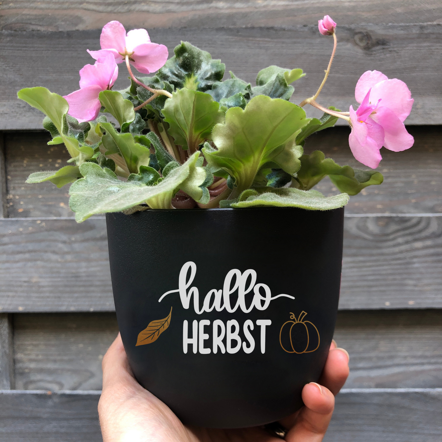 Blumentopf weiß oder schwarz - Blumentopf mit Spruch - Herbstdeko Hallo Herbst - Geschenk Geburtstag - Geschenk für Frauen