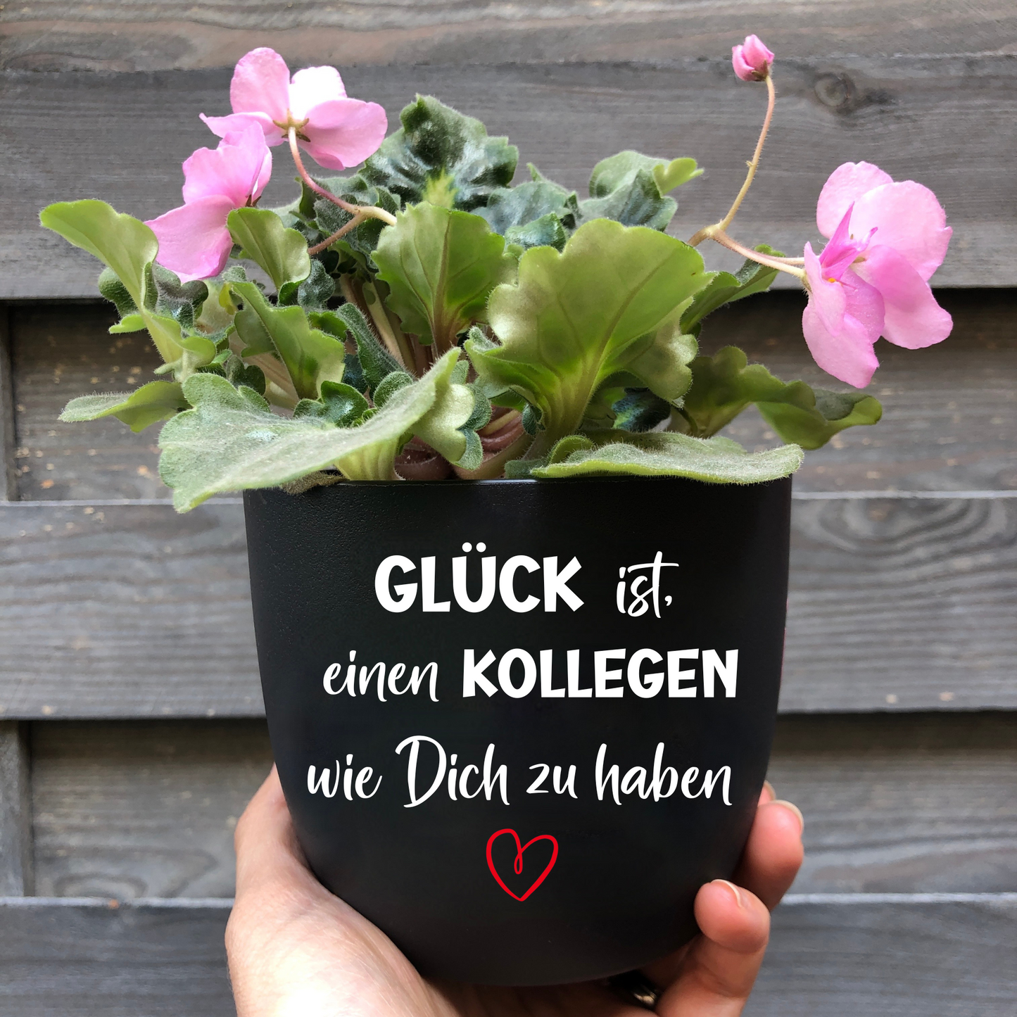 Abschiedsgeschenk Kollegin Kollege - Blumentopf Spruch - Geschenk zum Abschied Arbeit - Ruhestand Arbeitskollege - Mitarbeiter
