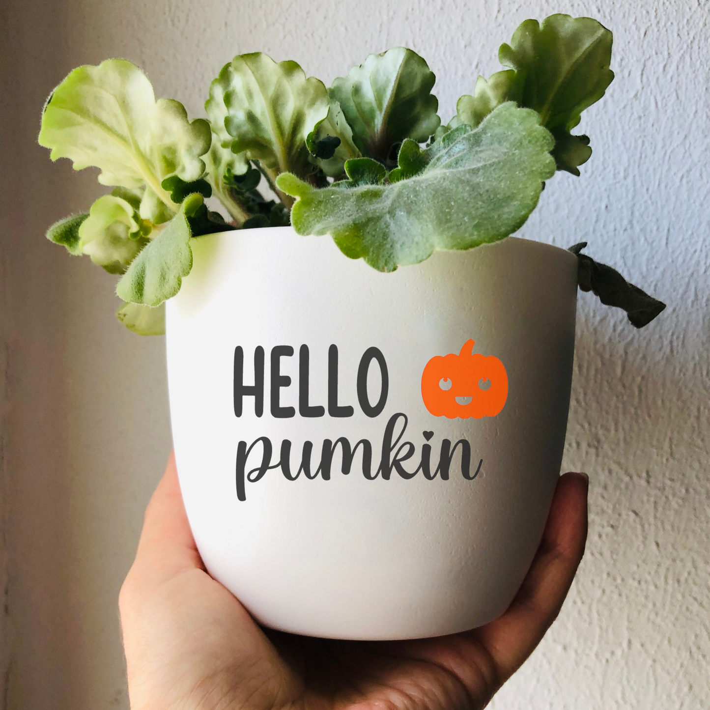 Blumentopf weiß oder schwarz - Blumentopf mit Spruch - Herbstdeko Hallo Herbst - Geschenk Geburtstag - Geschenk für Frauen