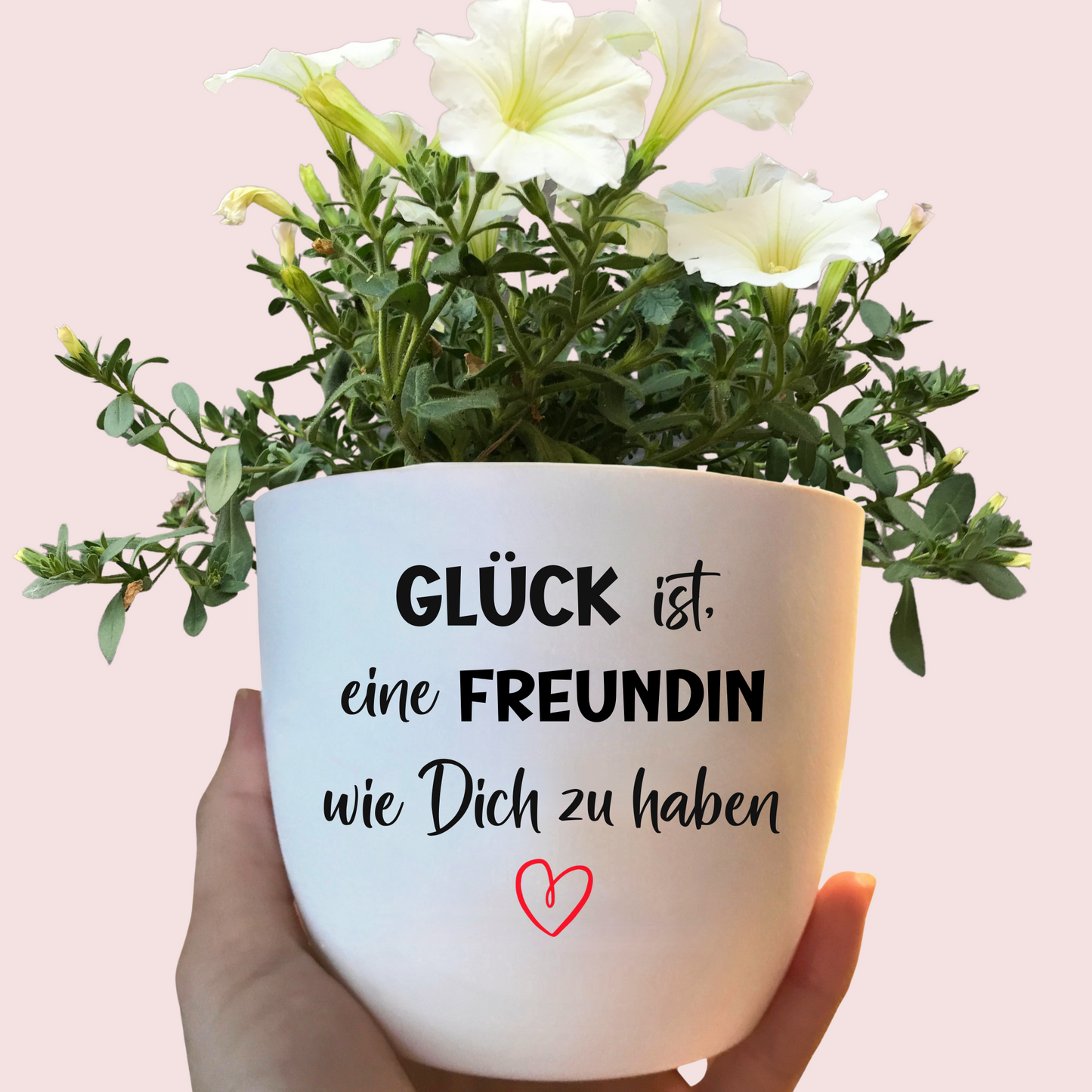 Blumentopf mit Spruch Freundschaft