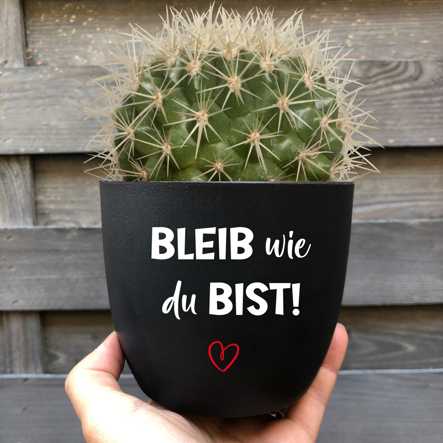 Abschiedsgeschenk Kollegin Kollege - Blumentopf Spruch - Geschenk zum Abschied Arbeit - Ruhestand Arbeitskollege - Mitarbeiter - personalisiert - Bleib wie du Bist!