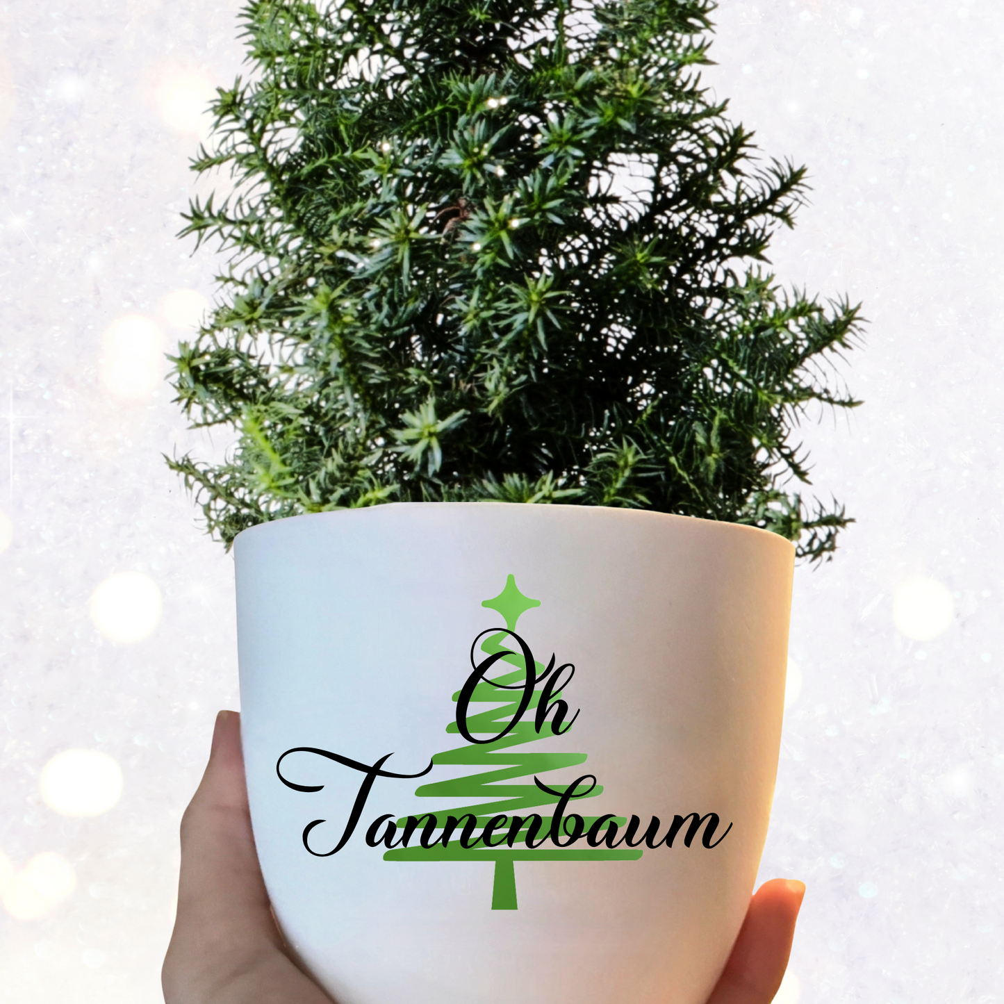 Blumentopf Oh Tannenbaum - Weihnachtsgeschenk