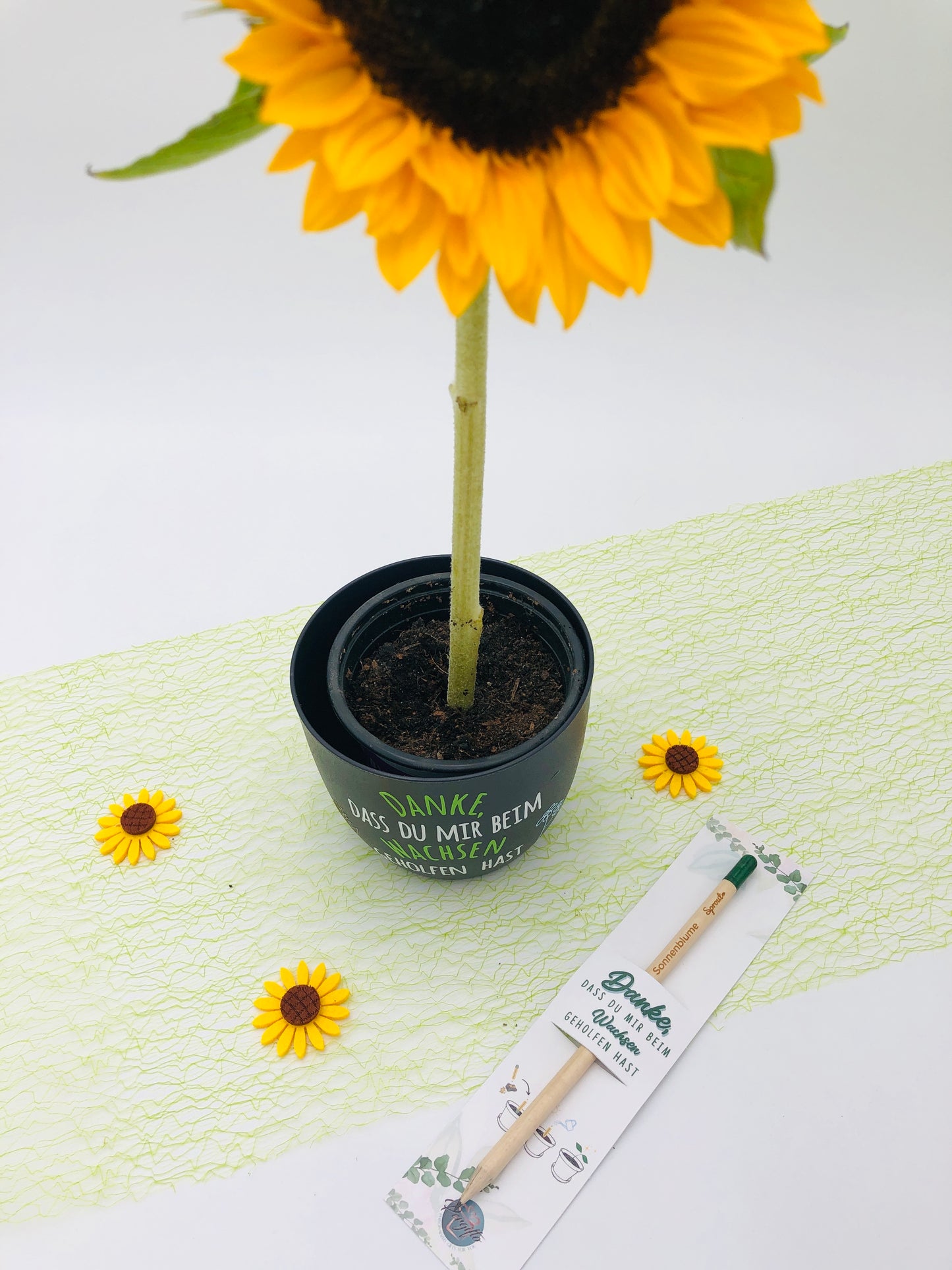 Bleistift zum Einpflanzen - Abschiedsgeschenk Lehrer und Erzieher - Danke, dass du MIR beim Wachsen geholfen hast - personalisiert