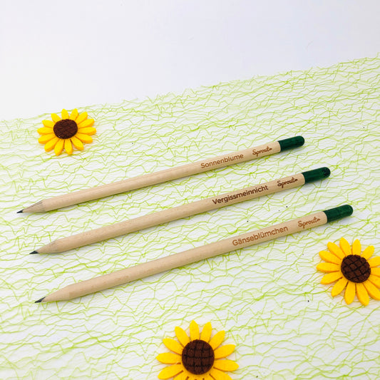 Samenbleistift kleines Geschenk - Nachhaltiges Geschenk zum Danke sagen - Bleistift zum Einpflanzen - Holzstift mit Blumensamen OHNE KARTE