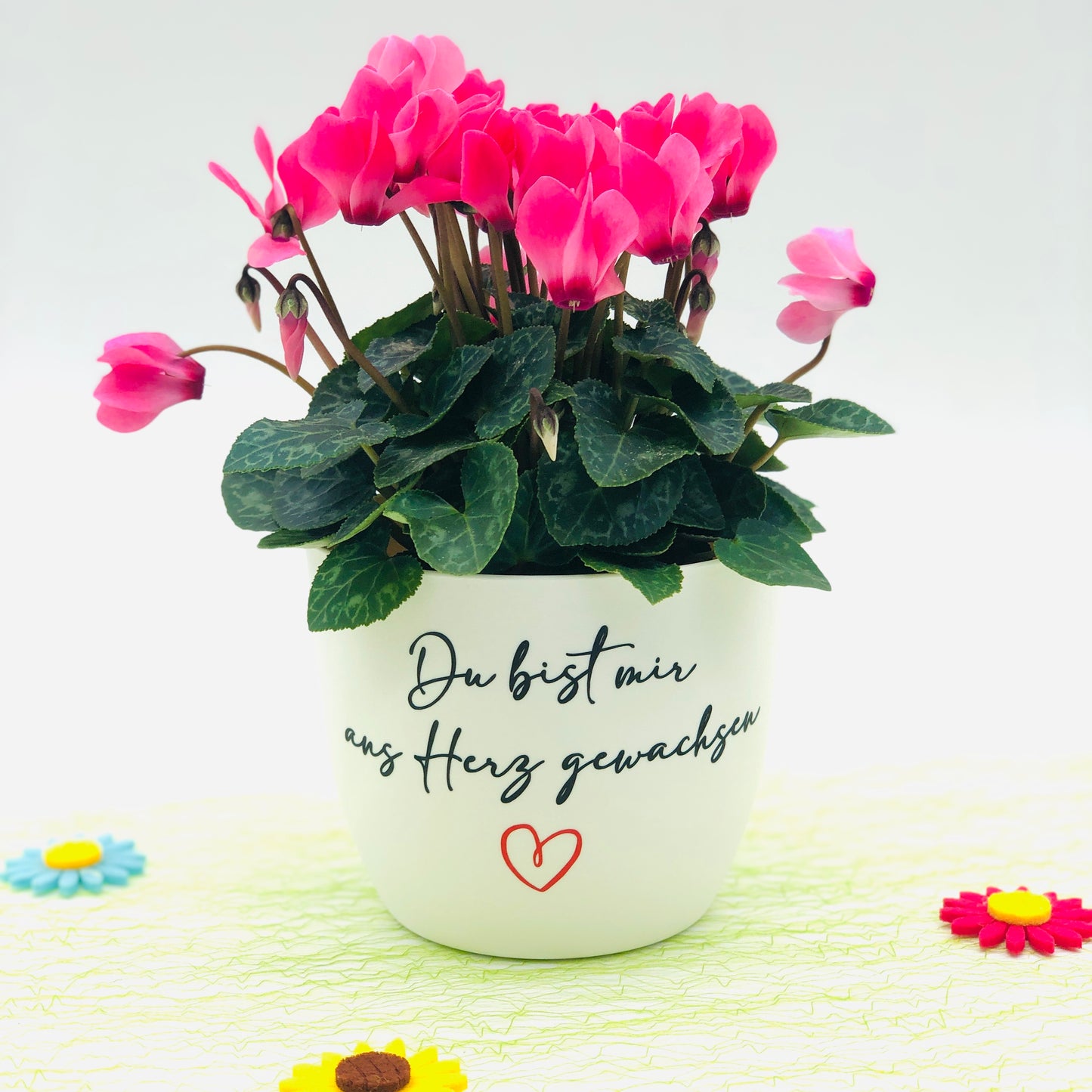 Blumentopf weiß oder schwarz "Du bist mir ans Herz gewachsen" - Abschiedsgeschenk Lehrer/in oder Erzieher/in - Kitaabschied - personalisiert