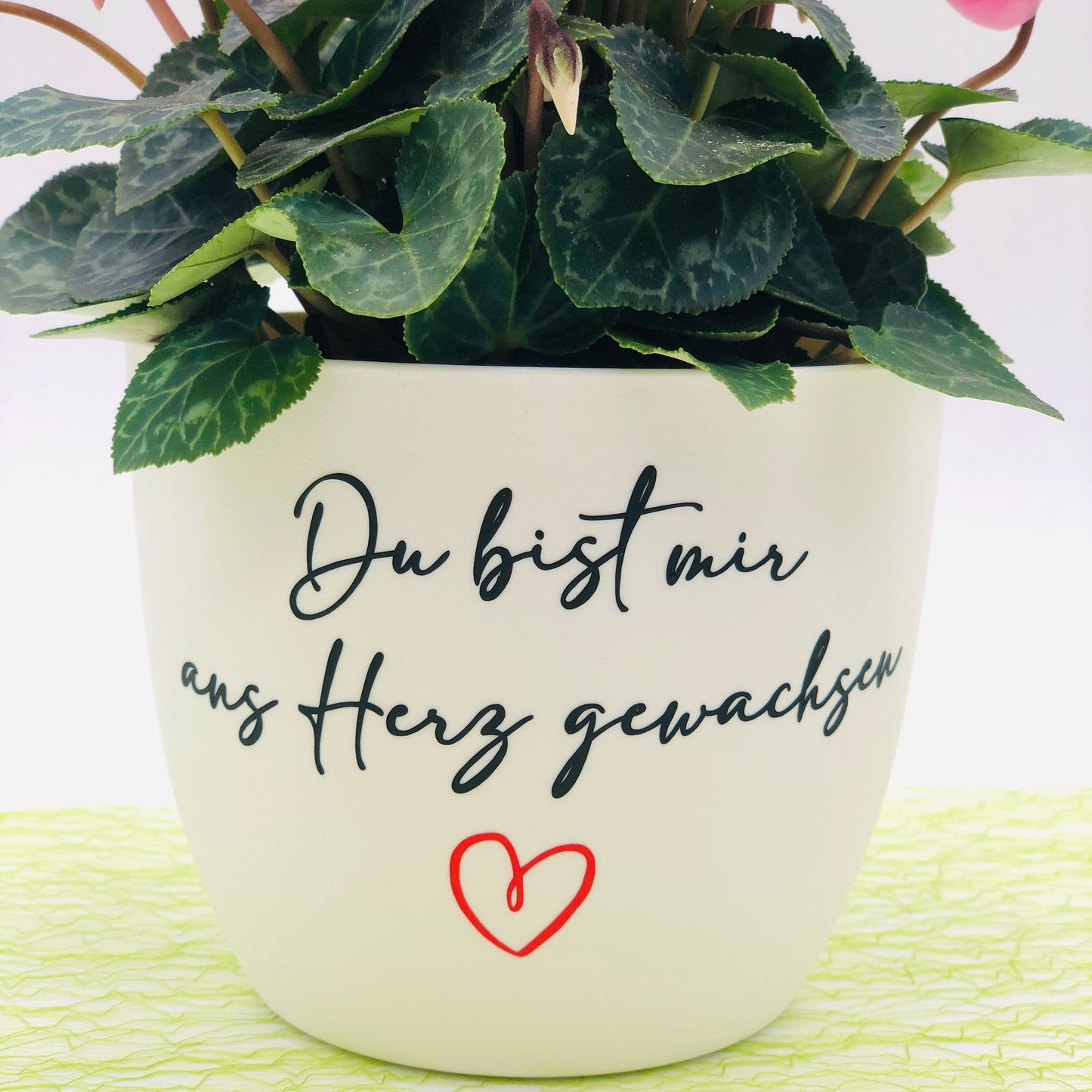 Blumentopf weiß oder schwarz "Du bist mir ans Herz gewachsen" - Abschiedsgeschenk Lehrer/in oder Erzieher/in - Kitaabschied - personalisiert