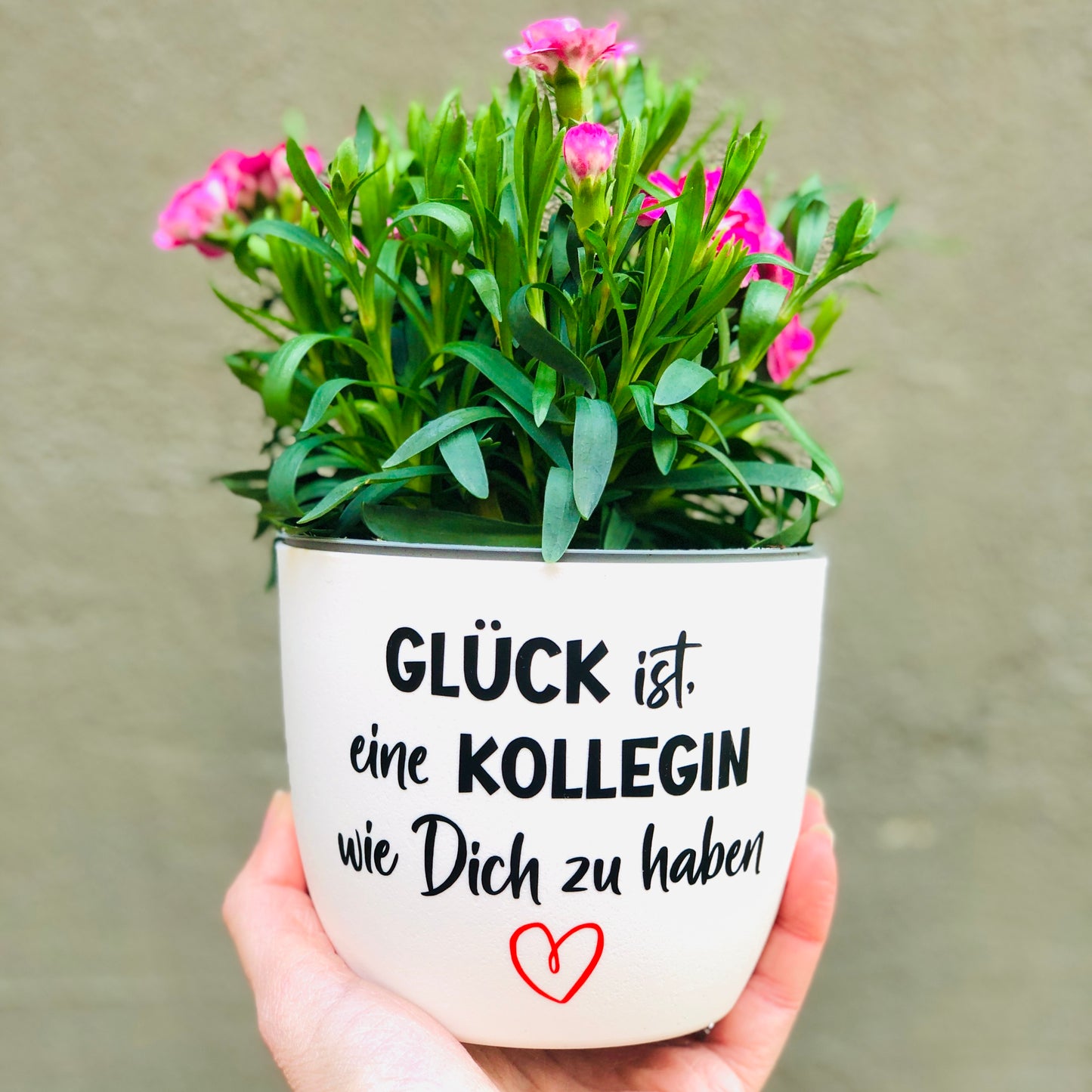 Blumentopf Geschenk Kollegin - Glück ist, eine Kollegin wie Dich zu haben!