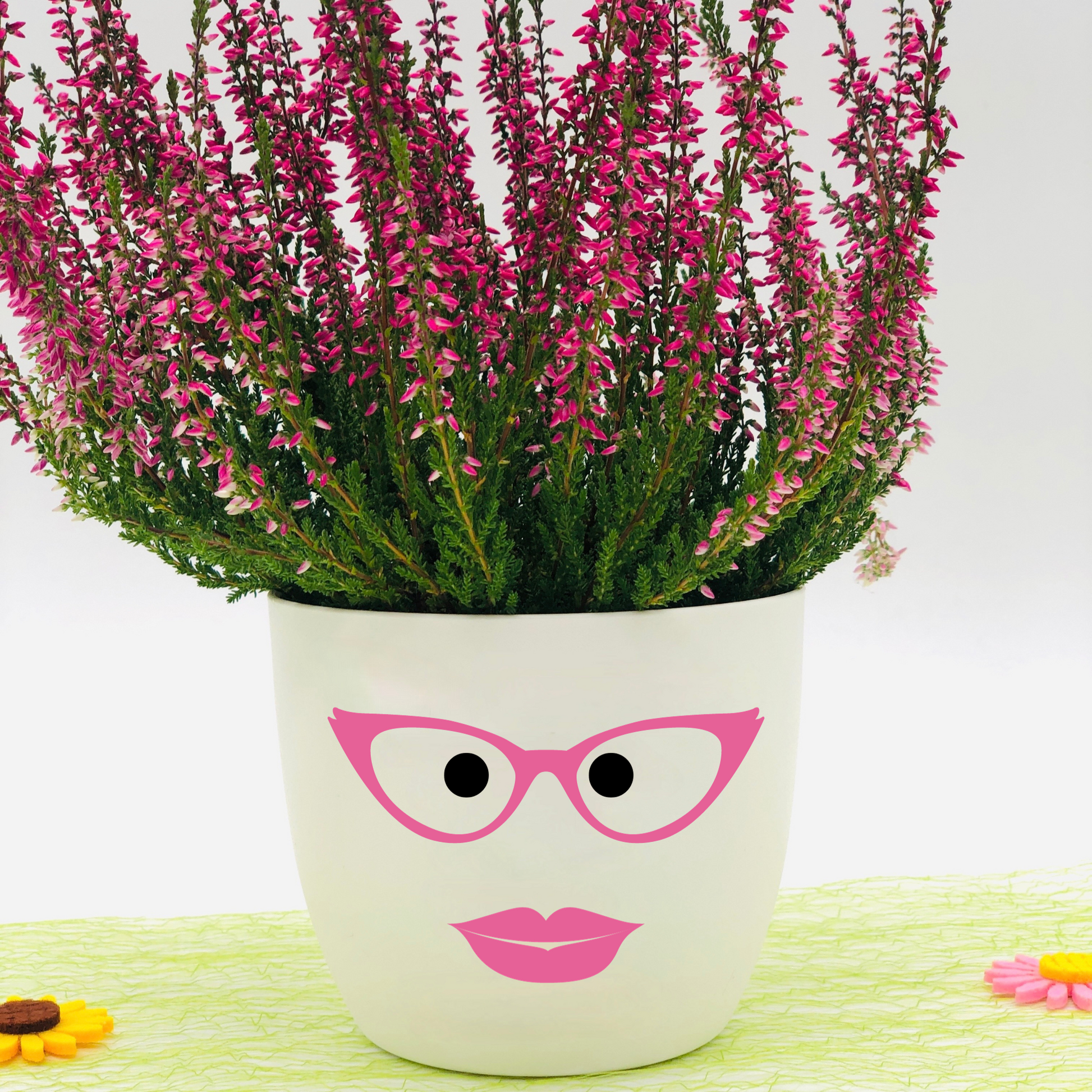 Blumentopf lustiges Gesicht mit Brille und Lippen pink - Geschenk Blumenliebhabe