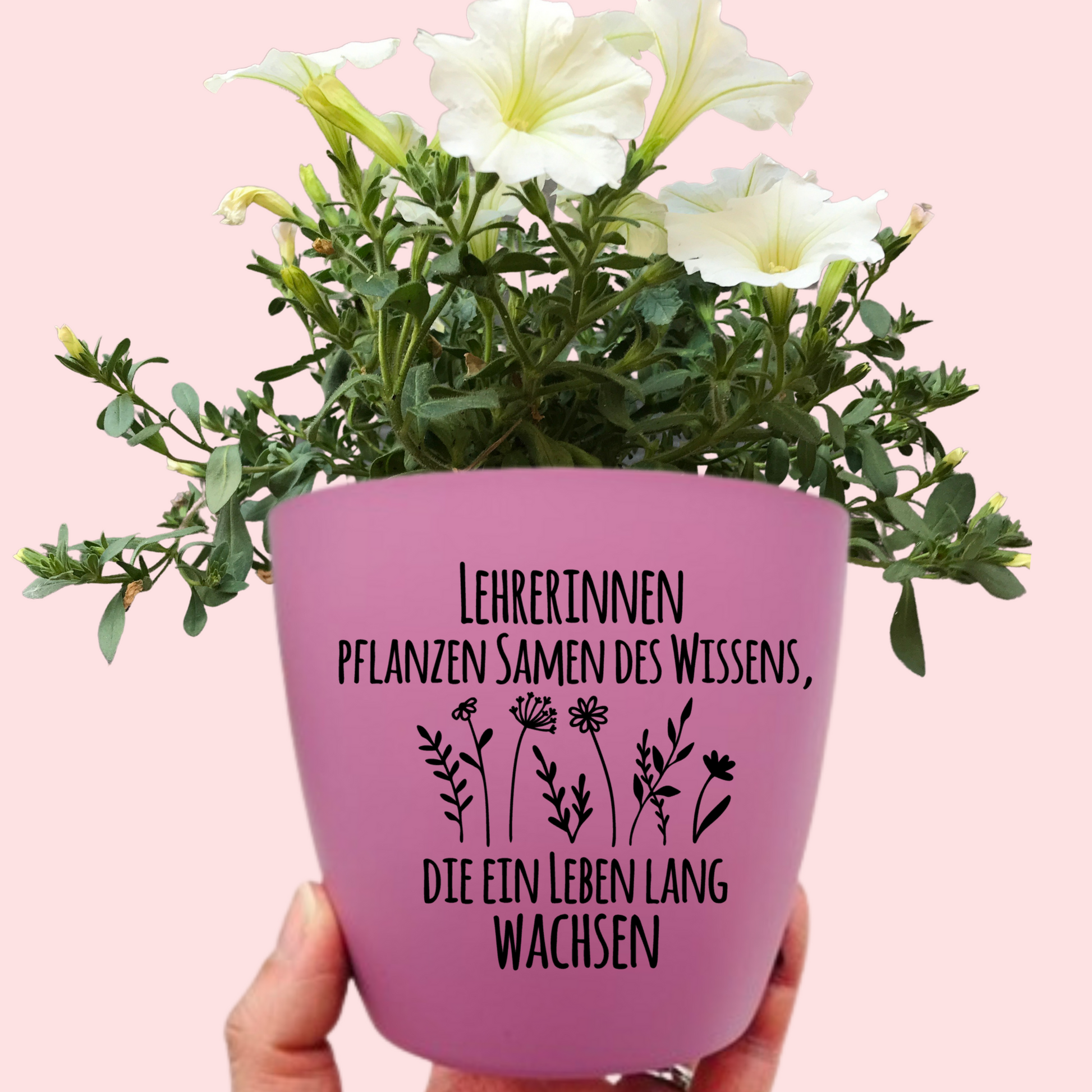 Blumentopf "Lehrer*innen pflanzen Samen des Wissens, die ein Leben lang wachsen" Abschiedsgeschenk - Geschenk Lehrer Erzieher - lila