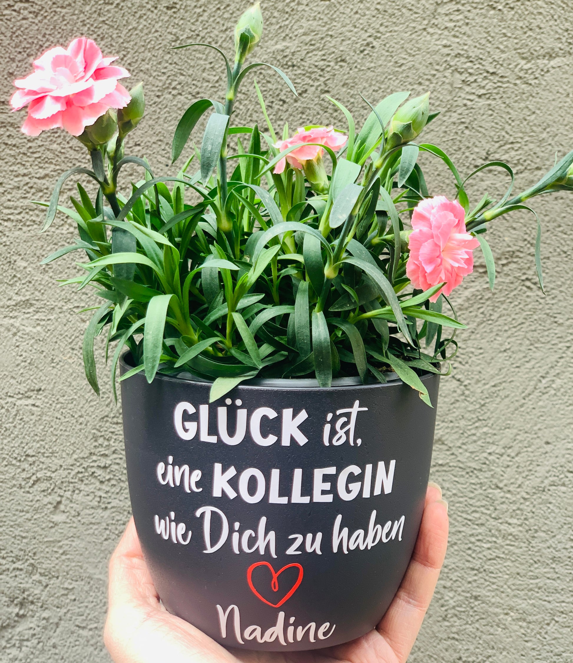 Abschiedsgeschenk Kollegin oder Kollege - Blumentopf Spruch - Geschenk zum Abschied Arbeit - Ruhestand Arbeitskollege