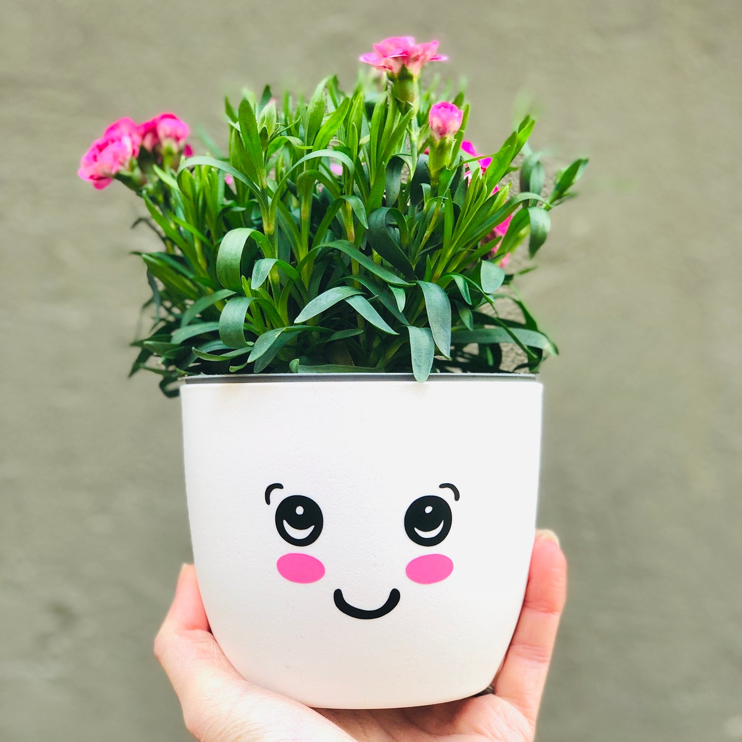 Aufkleber Gesicht - fröhlicher Sticker für Blumentopf - süßes Gesicht - Gesichtstopf - Geschenk Mama Freundin Kind - DIY Sticker personalisiert