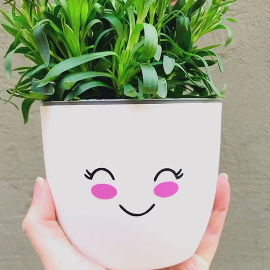 Aufkleber Gesicht - fröhlicher Sticker für Blumentopf - süßes Gesicht - Gesichtstopf - Geschenk Mama Freundin Kind - DIY Sticker Blumentopf