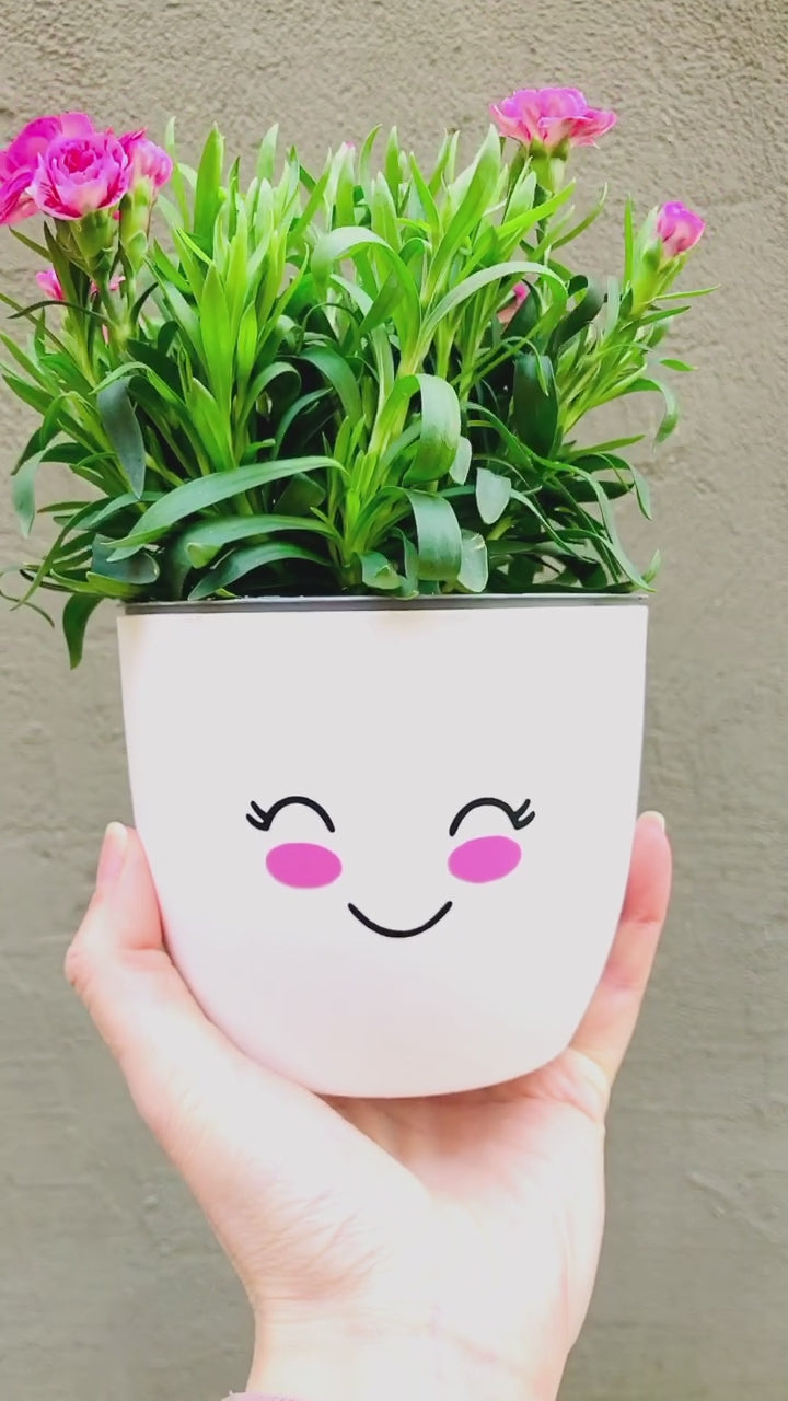 Aufkleber Gesicht - fröhlicher Sticker für Blumentopf - süßes Gesicht - Gesichtstopf - Geschenk Mama Freundin Kind - DIY Sticker Blumentopf