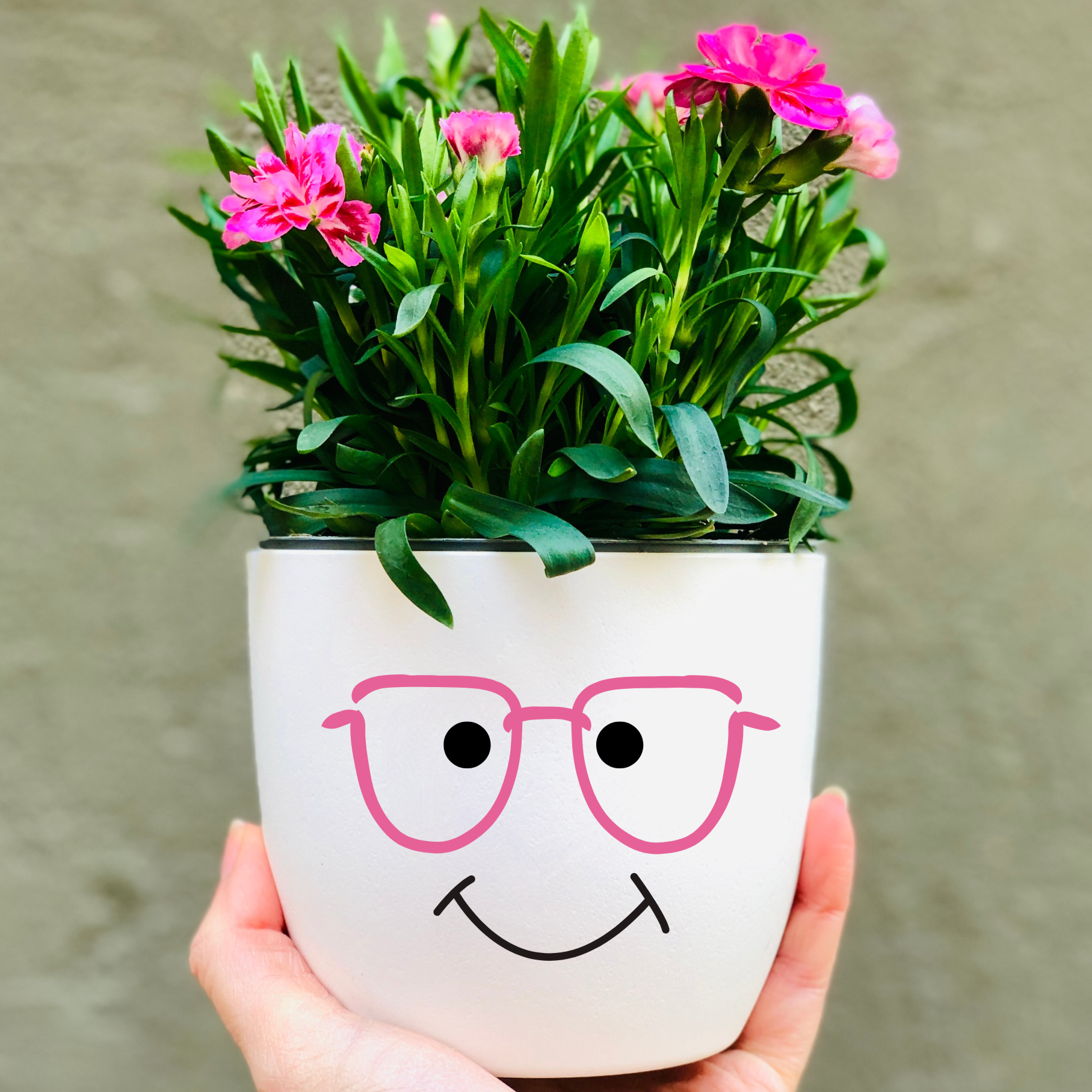 Blumentopf lustiges Gesicht mit Brille pink - Geschenk Blumenliebhabe