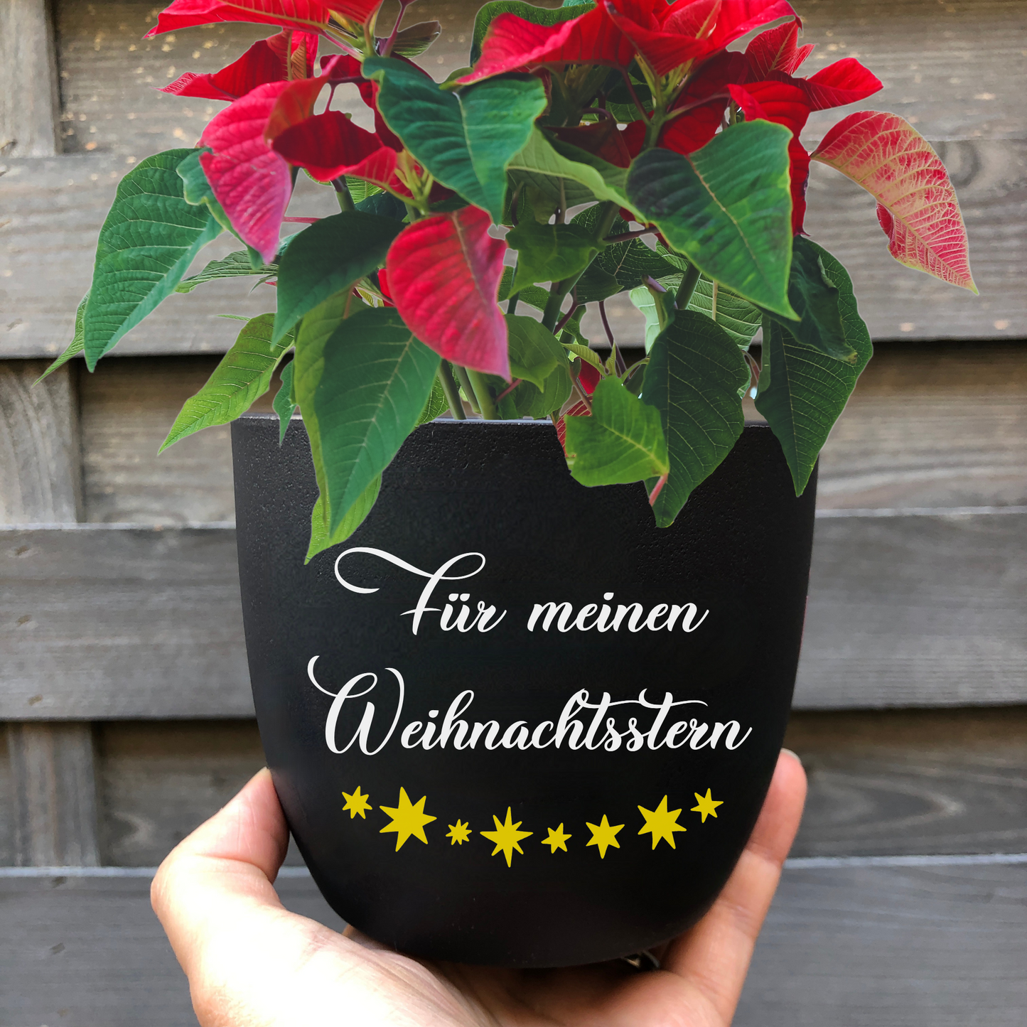 schwarzer Blumentopf mit dem Spruch "Für meinen Weihnachtsstern" - Weihnachtsgeschenk für Freundin