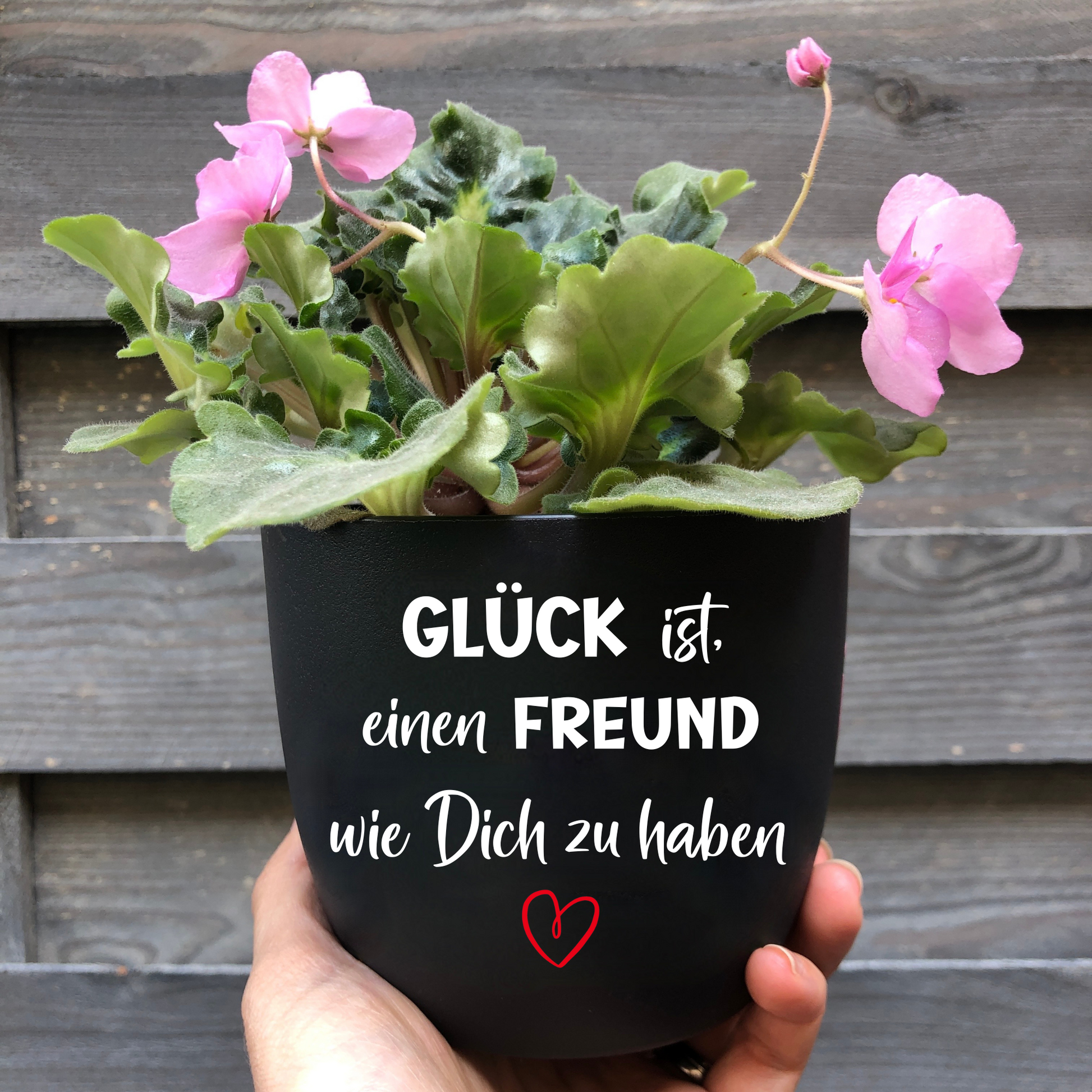 Geschenk bester Freund - Blumentopf Freundin - Blumentopf mit Spruch Freundschaft - personalisiert
