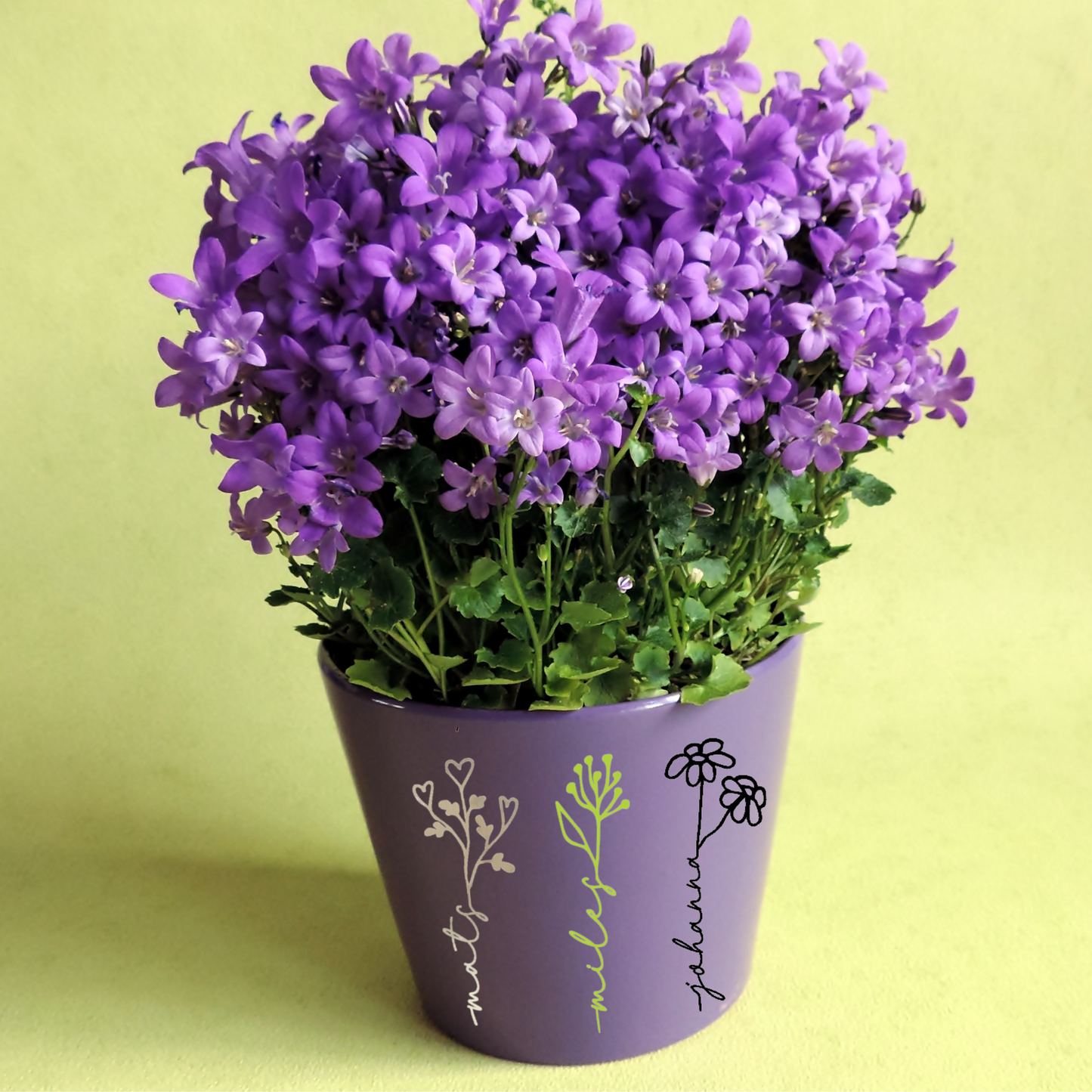 Aufkleber - personalisierter Schriftzug - Blume und Name - Abschiedsgeschenk für Lehrer/in oder Erzieher/in - für Blumentopf oder Glas