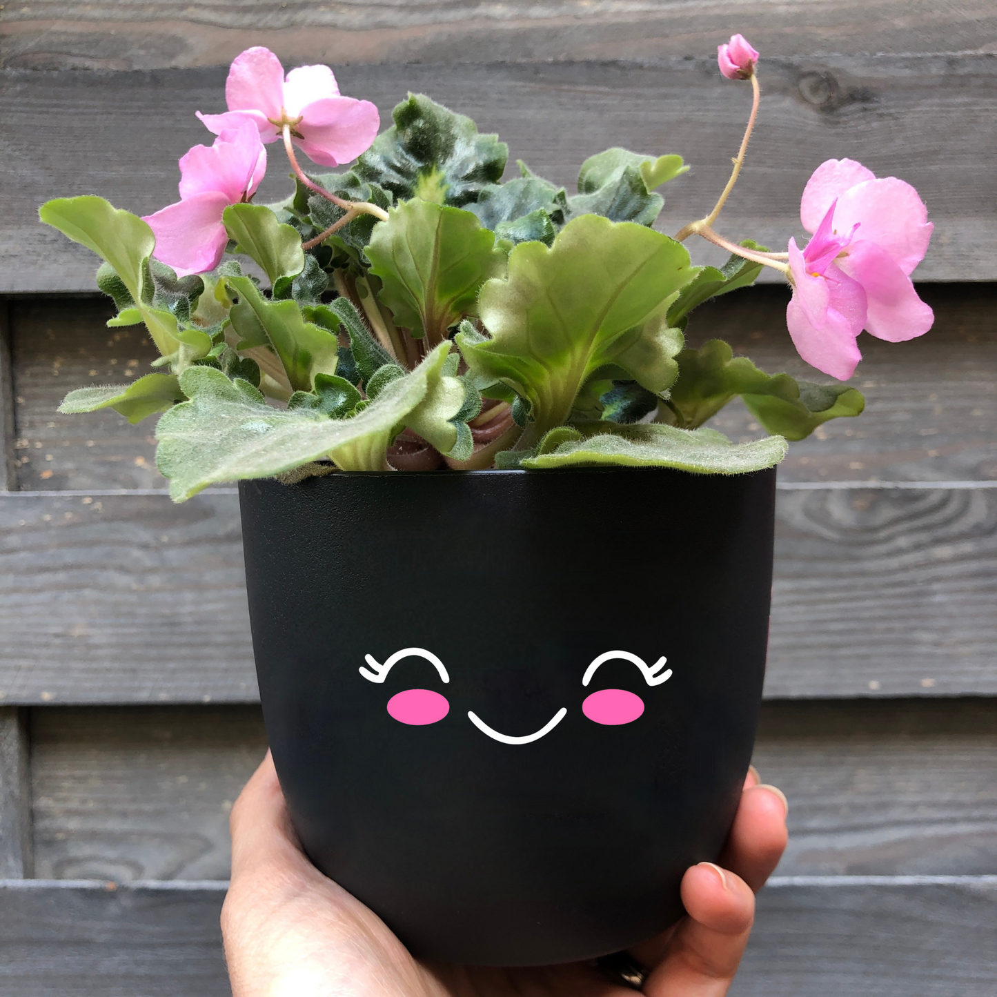 Flower pot face - gift flower lover - happy plant pot - planter cute face - face pot - gift idea personalized