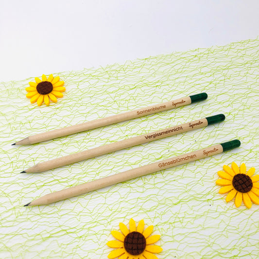 Seed pencil as a small gift - Sustainable small gift to say thank you - Pencil for planting - Wooden pencil with flower seeds