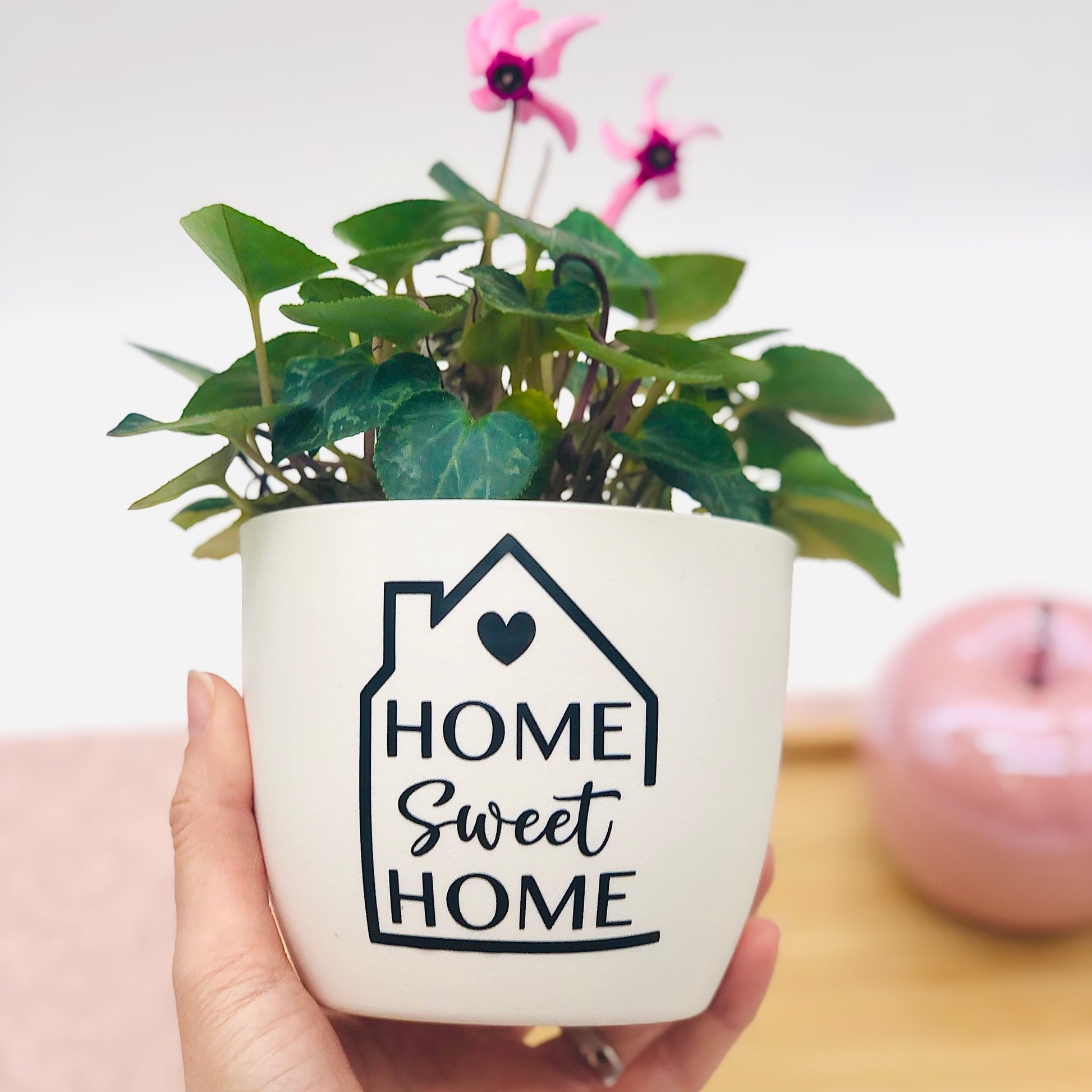 Blumentopf weiß mit Design Home Sweet Home