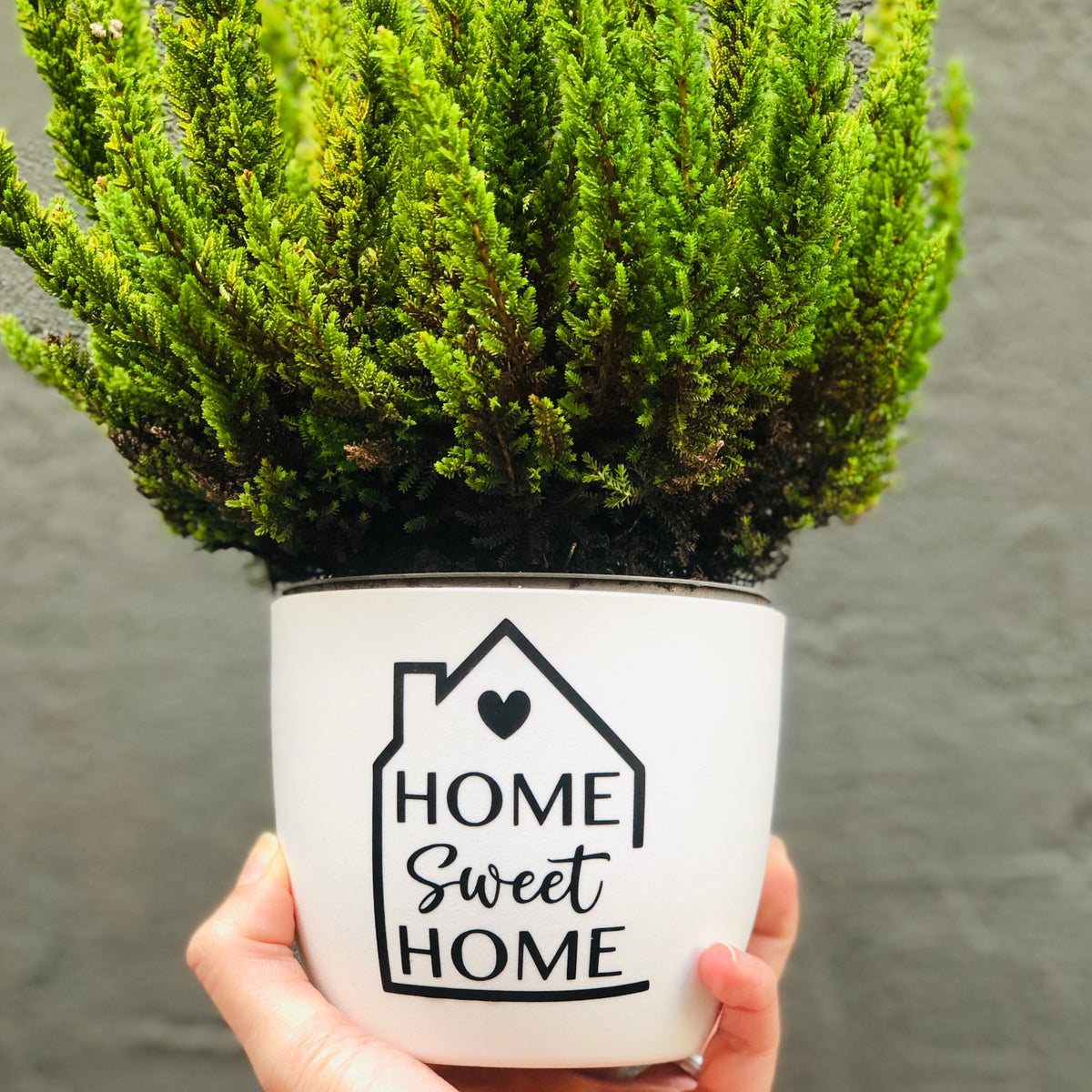 Blumentopf HOME Sweet HOME - Haus mit Familienname